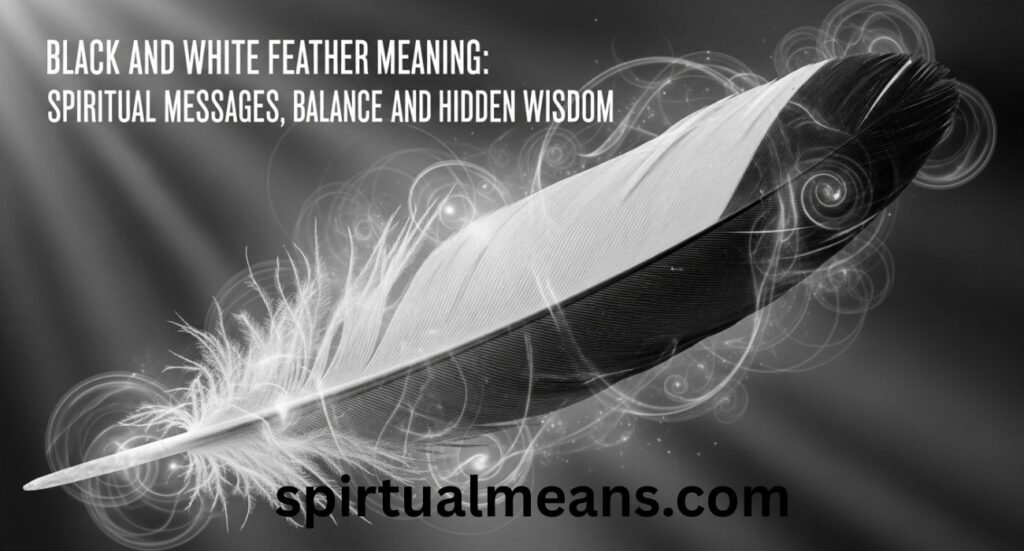 Black and White Feather Meaning: Spiritual Messages, Balance, and Hidden Wisdom