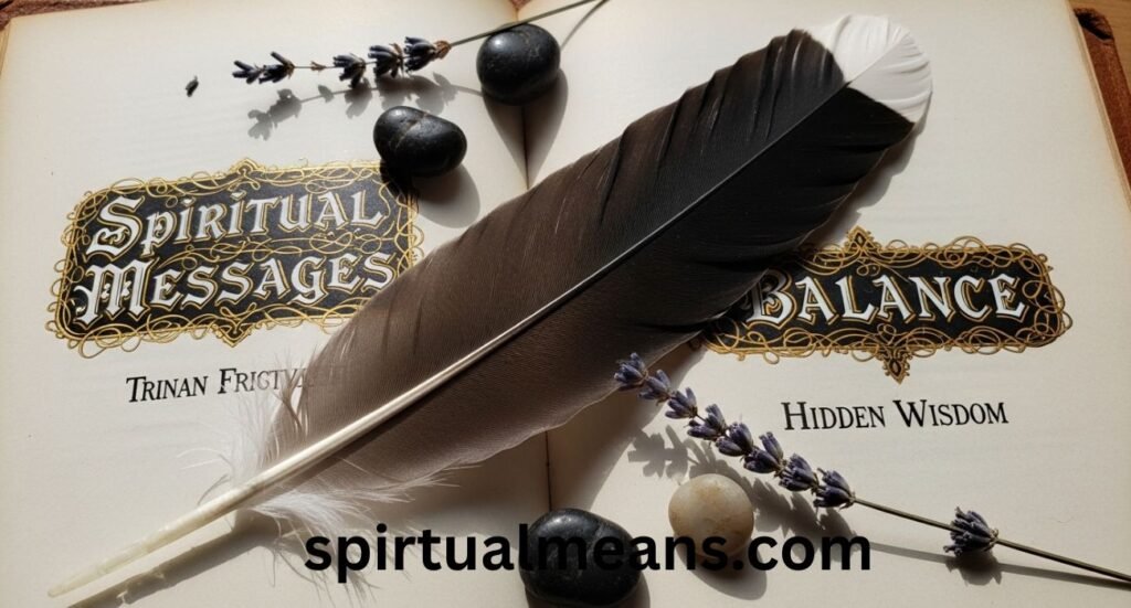 Black and White Feather Meaning: Spiritual Messages, Balance, and Hidden Wisdom
