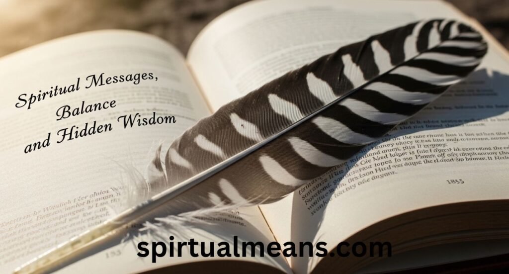 Black and White Feather Meaning: Spiritual Messages, Balance, and Hidden Wisdom
