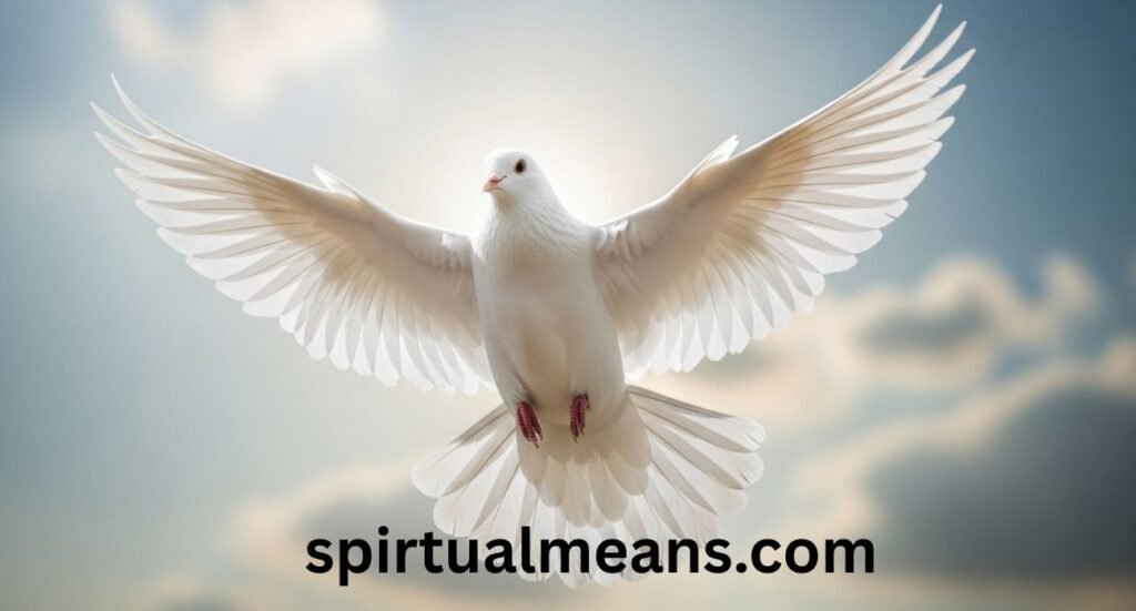 Meanings of Seeing a White Pigeon: Spiritual Signs, Messages, and Symbolism