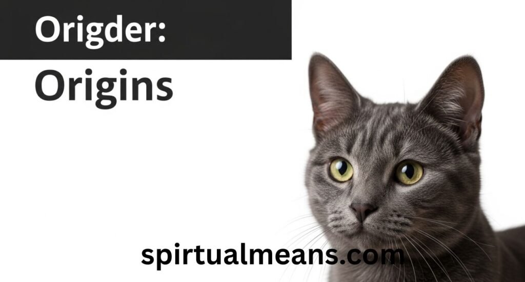 What Does the Name “Parker” Mean? Origins, Spiritual Meaning, and Popular Nicknames Explained